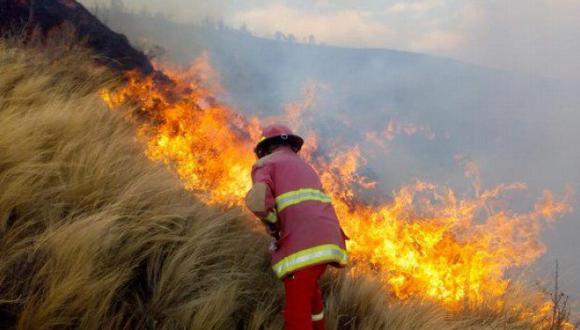 COEN: 128 incendios forestales se han registrado en el país desde julio