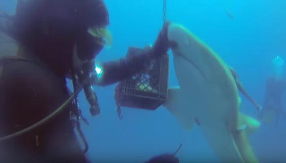 YouTube: tiburón se acerca a buzo para pedirle ayuda [VIDEO]