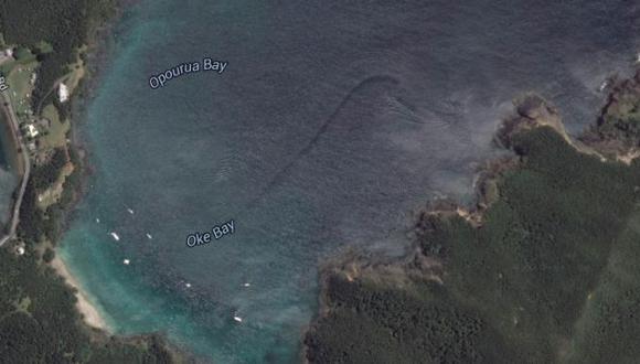 ¿Google Maps encontró un monstruo marino en Nueva Zelanda?