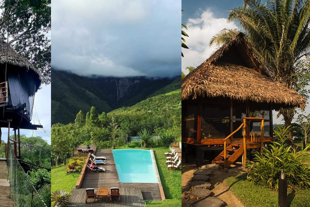 Selva peruana: 5 hospedajes para vivir una experiencia increíble | Iquitos  | Pozuzo | Chachapoyas | Tambopata | Oxapampa | VAMOS | EL COMERCIO PERÚ