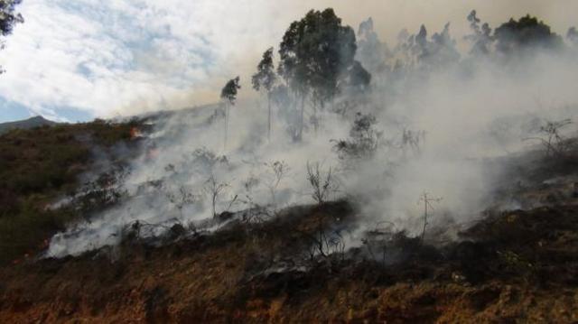 Tarma: más de 9 horas duró el incendio forestal en Muruhuay - 2