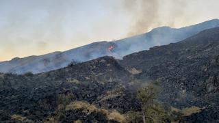 Bomberos atienden incendio desde hace 4 días en Santuario Nacional de Ampay