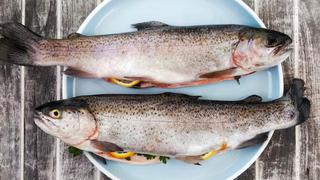 ¿Es saludable comer la piel del pescado?