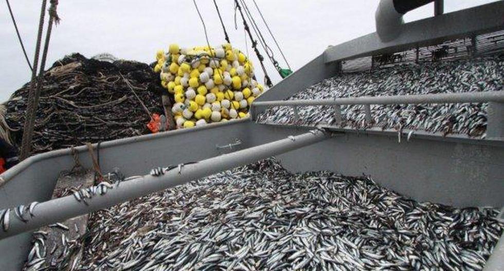 El sector pesca en el Perú comprende la pesca marítima y la pesca continental. (Foto: Andina)