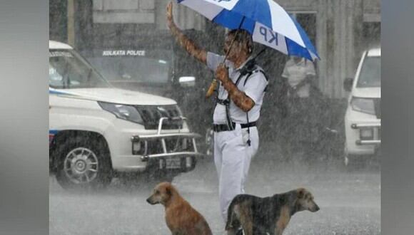 Un policía protegió con su paraguas a perros callejeros de las fuertes lluvias, en India. (Foto: Twitter/ Kolkata Police).