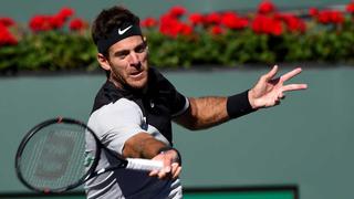 Indian Wells: Juan Martín del Potro venció a Kohlschreiber y ya está en semis