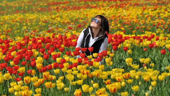 El inicio de la primavera es para algunos una de las fechas más importantes, por lo que estas son las mejores frases para celebrar su llegada. (Foto: EFE)