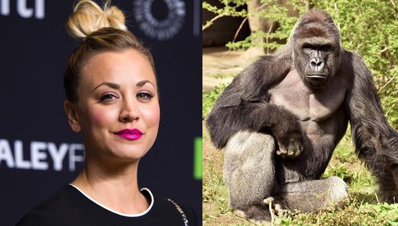 Kaley Cuoco criticó la ejecución del gorila Harambe