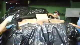 Ucayali: PNP interviene camioneta y halla 393 paquetes de alcaloide de cocaína | VIDEO