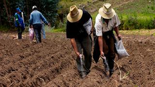 Fertiabono 2022: cómo saber si te corresponde recibir este apoyo económico