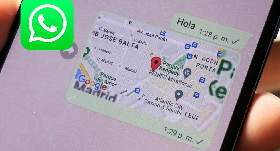 WhatsApp: how to know the location of your contacts without them knowing