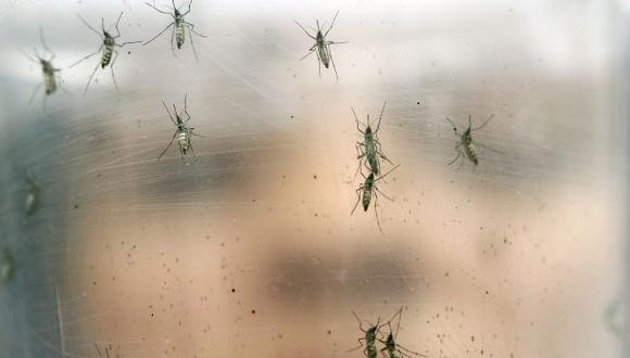 Chile reporta su primer caso de zika por transmisión sexual
