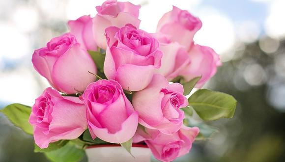 San Valentín: ¿qué significan las rosas según su color? | RESPUESTAS | MAG.