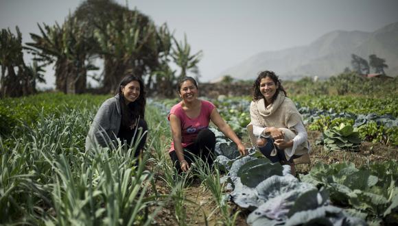 Paloma Abregu (Saphichay) y Karla Gabaldoni (Slow Food Perú) rodean a Celia Ramos, agricultora de Pachacámac que irá al congreso.