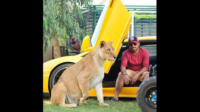 Humaid Albuqaish presume de sus lujosos autos y de sus "adorables" mascotas en su cuenta de Instagram. (fotos: @humaidalbuqaish)