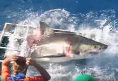 YouTube: tiburón entra a jaula en donde había un buzo y esto pasa