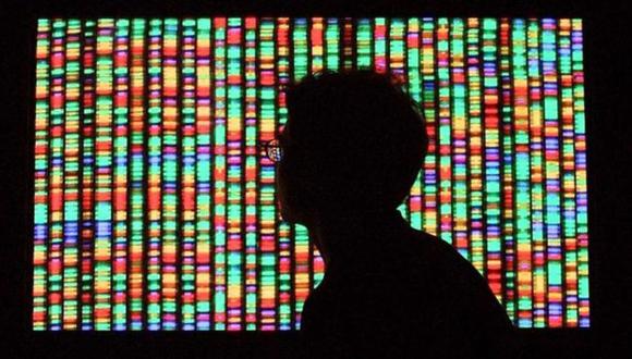 Los genes pueden definir mucho de lo que somos, pero no son el único factor. (Foto: Getty)