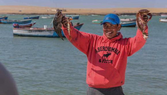 Día del Pescador: ¿cómo se reparten los peces en el Perú?