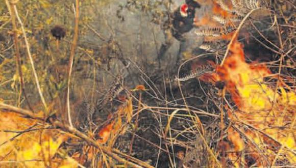 Pasco: hombre murió intentando sofocar incendio forestal
