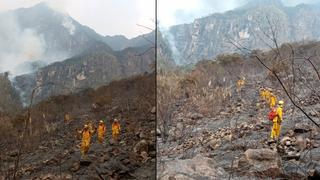 Cusco: incendio forestal en Santuario Histórico de Machu Picchu fue controlado | VIDEO 