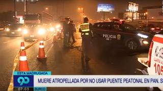 Surco: Mujer murió atropellada en la Panamericana Sur