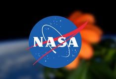 NASA: así es la primera flor extraterreste, la zinnia
