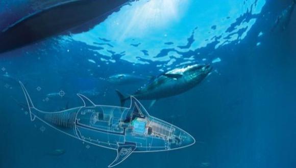EE.UU. prueba robot espía submarino con forma de pez