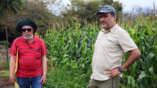 Profesores y alumnos en pie de lucha para proteger más de un millar de árboles de la Universidad Agraria