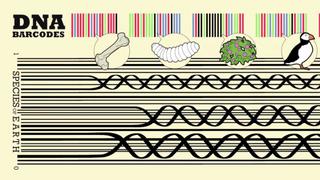 Un código de barras para monitorear la biodiversidad