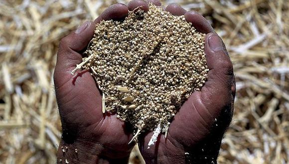 Perú multiplicó por seis las exportaciones de quinua en 2 años
