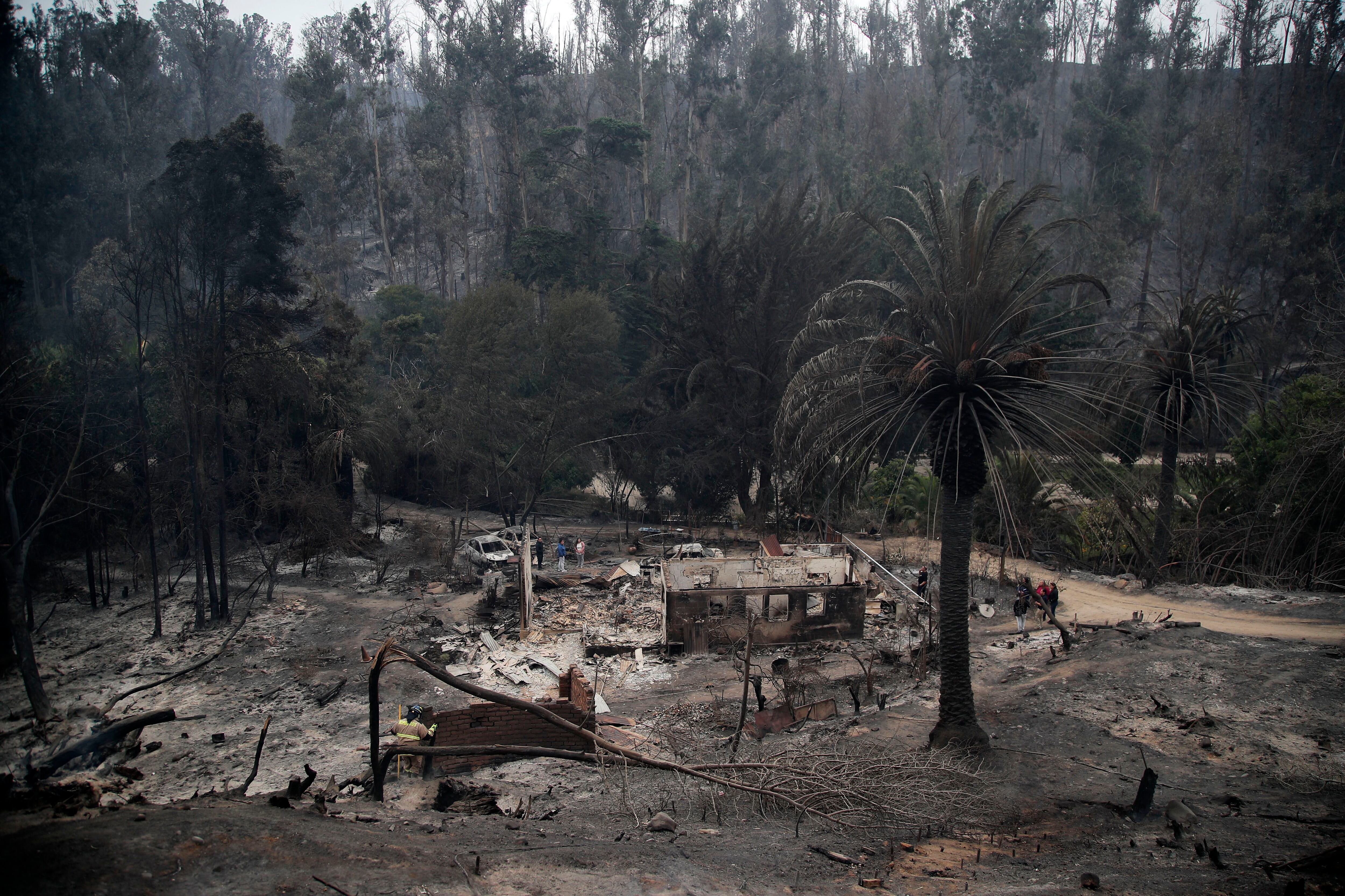 View of the Botanical Garden after a forest fire in Viña del Mar, Chile, taken on February 4, 2024. (Photo by Javier TORRES/AFP).