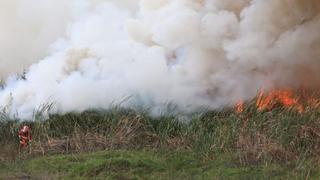Incendio en pantanos de Villa fue controlado luego de 11 horas