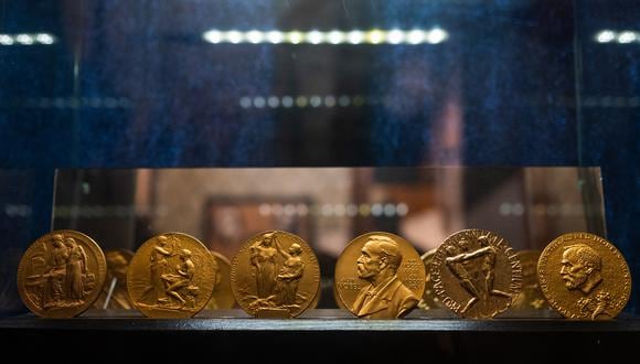 Nobel medals are displayed at the laboratory of Alfred Nobel, where powder trials and experiments with artificial rubber and synthetic threads were carried out, in Karlskoga, Sweden on September 16, 2021. - Alfred Nobel's last laboratory still exists, a stone's throw from a big explosives plant. In Sweden and around the world, the industrial legacy of the Nobel Prize founder is still making sparks fly. (Photo by Jonathan NACKSTRAND / AFP)