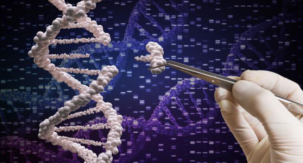 Science highlights in 2021: gene editing and anti-science among the highlights in the year that leaves us