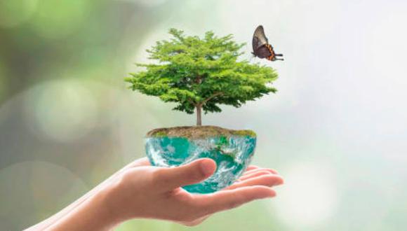 El 5 de junio se celebra el Día Mundial del Medio Ambiente