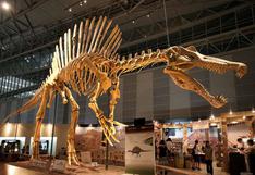 Hallan fósiles de gran dinosaurio ''mitad pato, mitad cocodrilo''