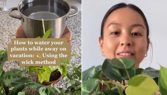 En esta imagen se aprecia a la mujer que compartió su truco para mantener las plantas regadas cuando no se está en casa por vacaciones. (Foto: @selfcareplants / TikTok)