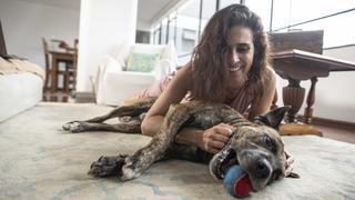 Vanessa Saba: “Mi perro fue vital para aceptar que no podría ser mamá”