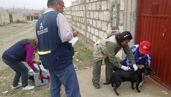 Unos 170.000 perros serán vacunados gratuitamente en Arequipa