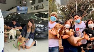 Empresas solidarias se suman a la labor de WUF en beneficio de los animales en estado de abandono