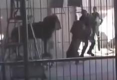 YouTube: león asesina a domador durante show para niños