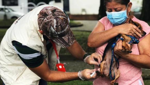 Sisbén para perros y gatos en Colombia: ¿cómo funciona y en qué consiste?