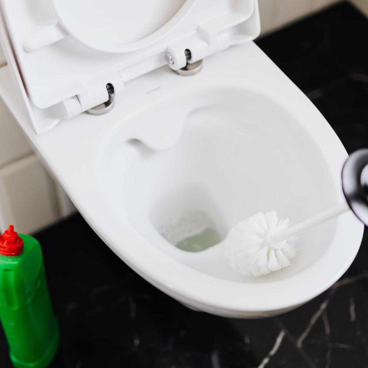 Cómo limpiar el inodoro de tu baño sin utilizar químicos invasivos