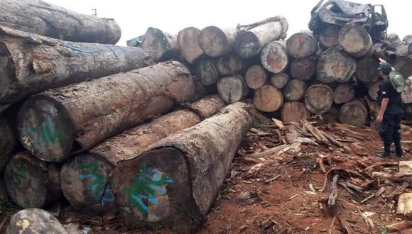 Policía incautó gran cantidad de madera talada ilegalmente