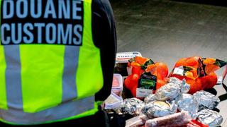 “Bienvenido al Brexit”: la sorpresa del camionero británico cuando le confiscaron sus sándwiches en la frontera holandesa