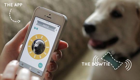 CES 2015: WoofWonder, un sensor especial para monitorear perros