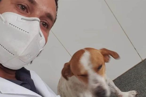 El médico veterinario Caio Santos Rabelo recorrió 72 kilómetros para atender a Fofinho. | Foto: Caio Santos Rabelo
