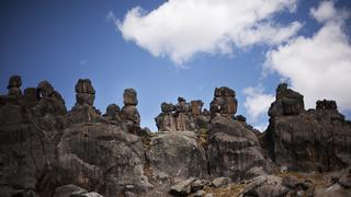 Viaja por el Bosque de Huayllay, nuestro santuario nacional