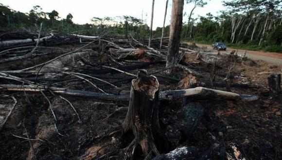 La deforestación de bosques es un flagelo que pretende combatir el Programa Bosques