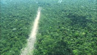 Perú: pistas de aterrizaje clandestinas y cultivos ilegales invaden comunidades nativas de Ucayali